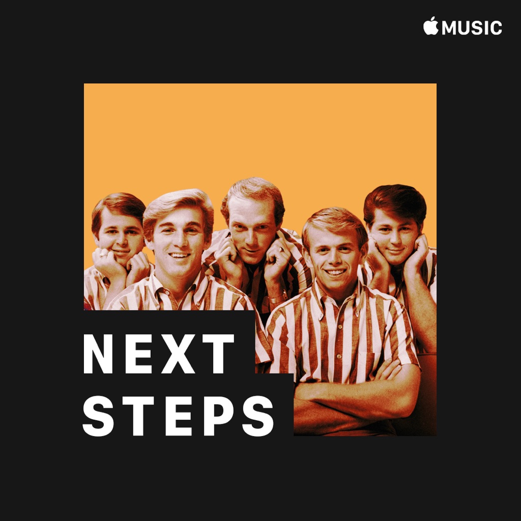 The Beach Boys: Next Steps