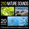 210 Nature Sounds: 20 Hours of Relaxing Natural Ambiences for Meditation and Sleep