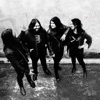 The Magic Numbers