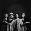 The Struts