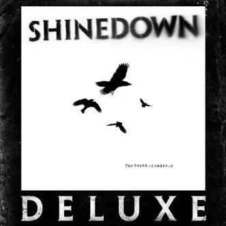 Second Chance by Shinedown song reviws