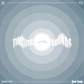Timeless Sounds 10 Year Mix: Joe Kay (DJ Mix) artwork
