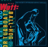 Mike Watt - Forever-One Reporter's Opinion (Album Version)