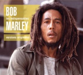 Bob Marley & The Wailers - I Made A Mistake (Album Version)