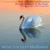 Classical Indian Music for Healing and Relaxation: The Ancient Beauty of the Veena album lyrics, reviews, download