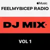 FeelMyBicep Radio, Vol. 1 (DJ Mix) album lyrics, reviews, download