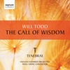 Will Todd: The Call of Wisdom, 2012