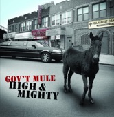 Gov't Mule - Child of the Earth