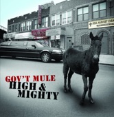 Gov't Mule - Mr. High and Mighty