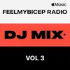 FeelMyBicep Radio, Vol. 3 (DJ Mix) album lyrics, reviews, download