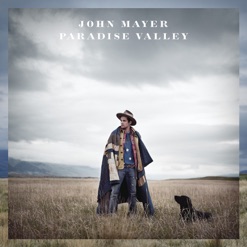 PARADISE VALLEY cover art