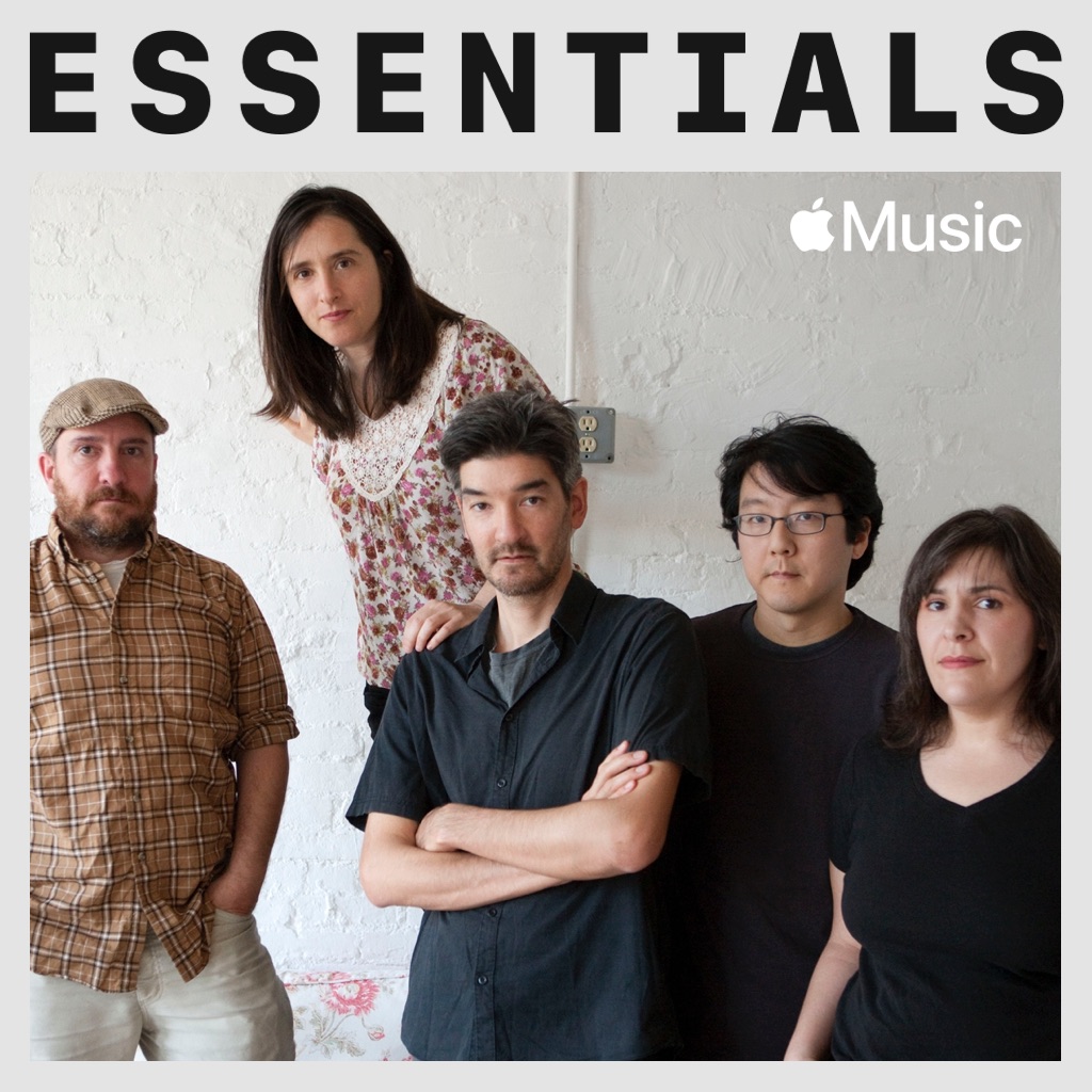 The Magnetic Fields Essentials
