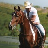 Eduardo Costa