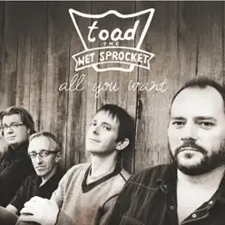 All You Want (Re-Recorded Versions) - Toad The Wet Sprocket
