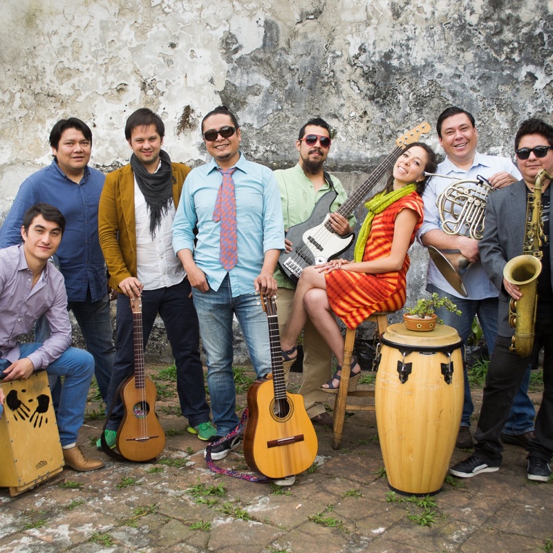 Macuiles Letras Listas De Reproduccion Y Videos Shazam shazam