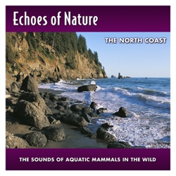Echoes Of Nature - Jumping Salmon