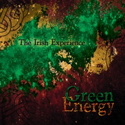 The Irish Experience - The Fiddler's Lament