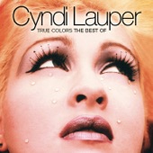 Cyndi Lauper - Who Let in the Rain