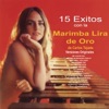 Marimba Lira de Oro de Carlos Tejada - Tonalá
