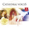 Cathedral Voices, 2004