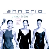 Piano Trio No. 4 in E Minor, Op. 90, B. 166, "Dumky": IV. Andante moderato - Allegretto scherzando - Meno mosso artwork