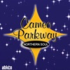 Original Northern Soul Hits from Cameo Parkway, 2008