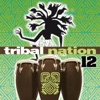 Tribal Nation 12