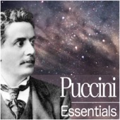 Puccini: Essentials artwork