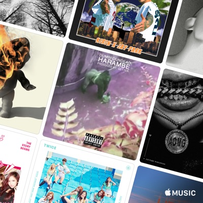 Precious Love Twice Shazam