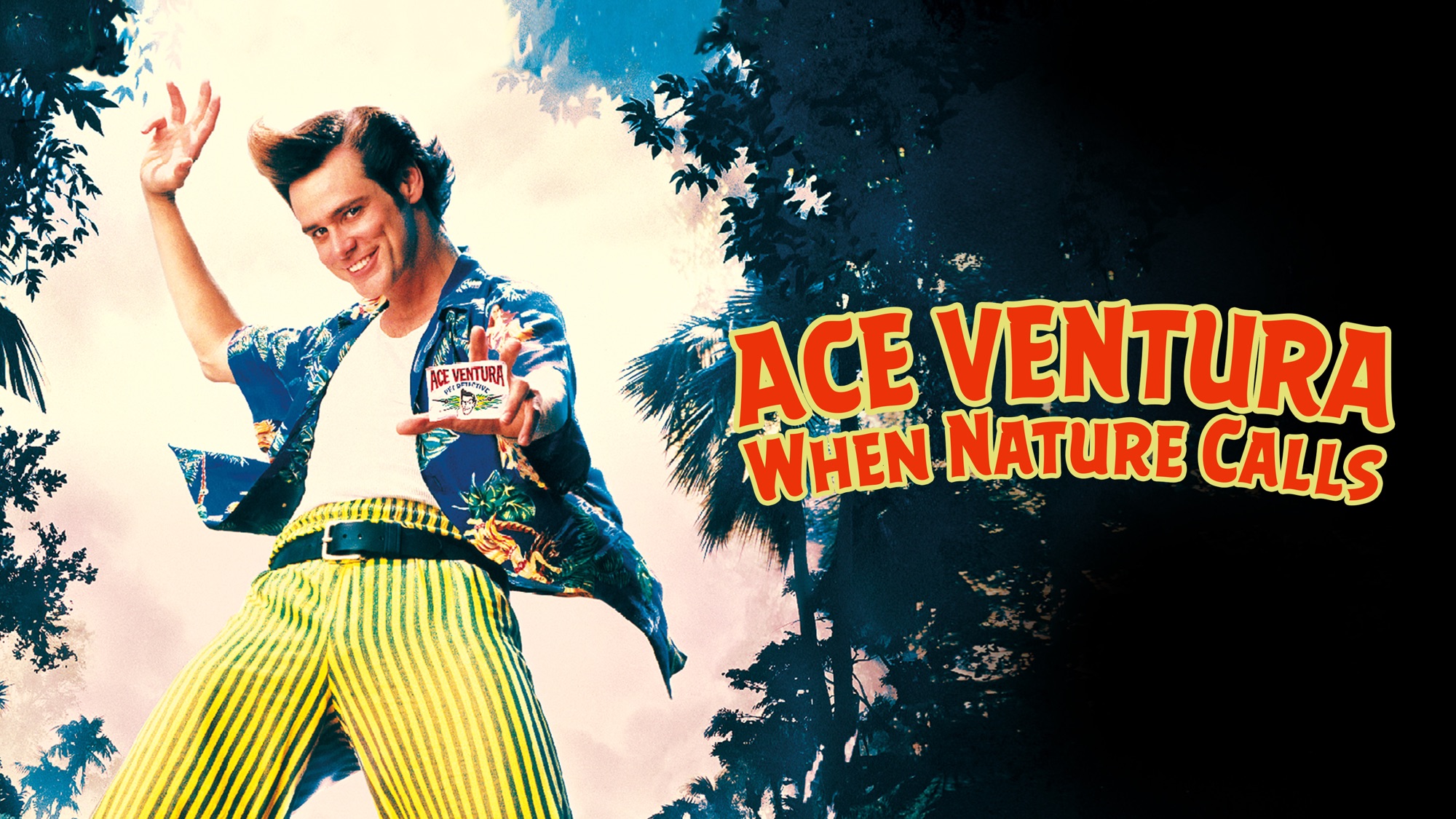 Ace Ventura 1994. Джим Керри Эйс Вентура. Эйс Вентура 2 (1995) Постер. Мистер Вентура. Айс вентура