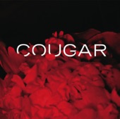 Cougar - Rhinelander