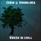 Run Things (feat. Enea Dj) - Cerin & SimonluKa lyrics