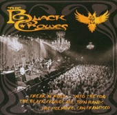 The Black Crowes - Remedy