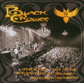 The Black Crowes - My Morning Song