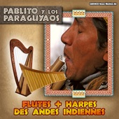 Pablito y los Paraguyaos - Flutes + Harpes Des Andes Indiennes artwork