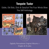 Tenpole Tudor - Wunderbar (Single Version)