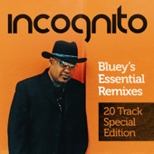 Bluey's Essential Remixes (20 Track Special Edition) artwork