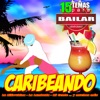 Caribeando 15 Canciones Para Bailar Salsa Rumba Y Merengue