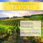 Wolfgang Amadeus Mozart: Horn Concerto No.3 in E-Flat Major, K.447; Horn Concerto No.4 in E-Flat Major, K.495; Oboe Concerto in C Major, K.314; Quartet for Oboe, Violin, Viola and Violoncello in F Major, K.370 artwork