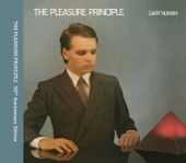 The Pleasure Principle (30th Anniversary Edition) artwork