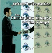 Welcome to the Machine: Elec. Trib. Pink Floyd, 2 CD Set