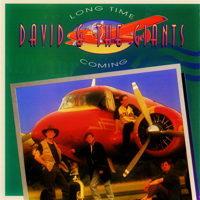 David & The Giants - Long Time Coming artwork
