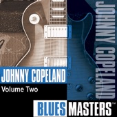 Blues Masters, Vol. 2 artwork