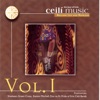 The Best Of Irish Ceili Music - Volume 1