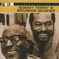 An Introduction to Sonny Terry and Brownie McGhee - Brownie McGhee
