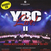 YBC Live! II artwork
