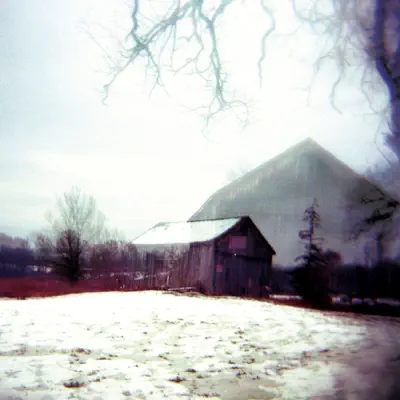 House With No Home - Horse Feathers