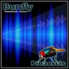 Bunfly - Environments, Vol. 1 - Proboscis (feat. Rachel Bond)