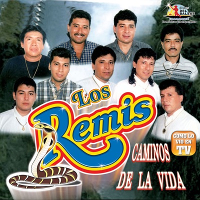 El Parrandero - Los Remis | Shazam