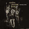 Carolina Chocolate Drops - Po' Black Sheep